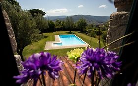 Quinta Do Castelo Casa De Férias